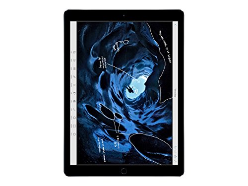 Apple iPad Pro (128 GB, Wi-Fi + Cellular, Space Gray) - 12.9" Display
