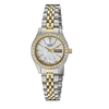 Đồng hồ Citizen Women's Quartz Watch with Crystal Accents, EQ0534-50D