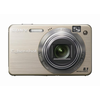 Sony Cybershot DSCW150/G 8.1MP Digital Camera with 5x Optical Zoom with Super Steady Shot (Gold)