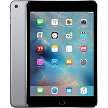 Apple iPad Mini 4 (32GB, Wi-Fi, Space Gray)