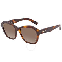 Ferragamo Brown Gradient Square Ladies Sunglasses SF894S21455