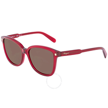 Ferragamo Square Ladies Sunglasses SF815S52556