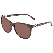 Ferragamo Brown Geometric Ladies Sunglasses SF751SK21460