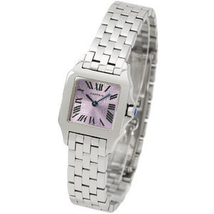 Cartier Santos Demoiselle Small Quartz Steel Watch W2510002