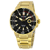 Citizen Endeavor Black Dial Gold-tone Men's Watch AW1422-50E