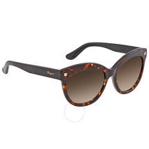 Ferragamo Brown Cat Eye Ladies Sunglasses SF675S 214 55 SF675S 214 55