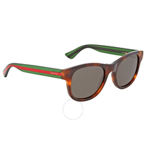 Gucci Dark Havana Square Sunglasses GG0003S-003 52