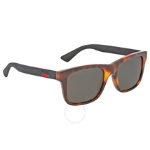 Gucci Havana Square Plastic Sunglasses GG0008S-006 53