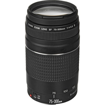 Canon EF 75-300mm f/4-5.6 III Telephoto Zoom Lens for Canon SLR Cameras (Certified Refurbished)