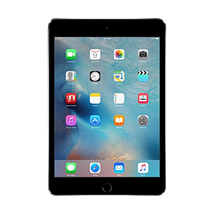 Apple iPad mini 4 (128GB, Wi-Fi, Space Gray)