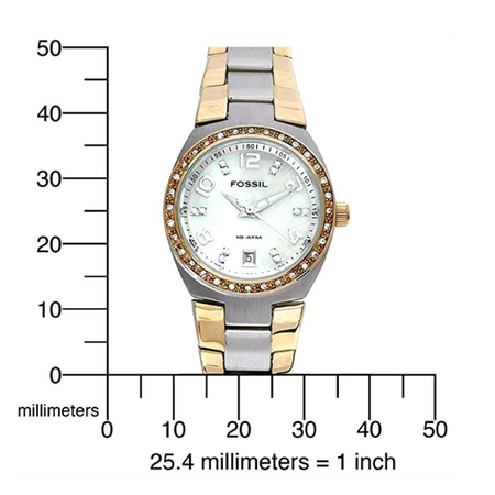Đồng hồ Fossil Two-Tone Silver Dial Glitz Watch