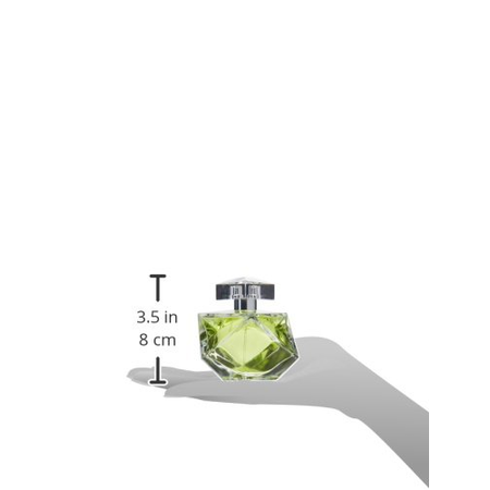 Nước hoa Believe Perfume 3.4 oz Eau De Parfum Spray