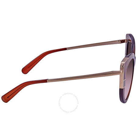 Ferragamo Brown Gradient Cat Eye Ladies Sunglasses SF890S 210 52