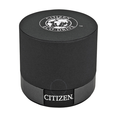 Citizen Calibre 8700 Eco-Drive Perpetual Calendar Men's Watch BL8000-54L