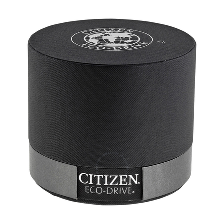 Citizen Eco Drive Promaster Black Dial Black Rubber Watch BN5035-02F