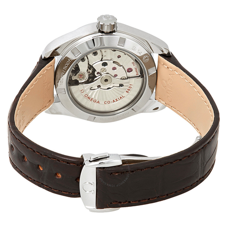 Omega Seamaster Aqua Terra Automatic Chronometer Silver Dial Men's Watch 231.13.39.22.02.001