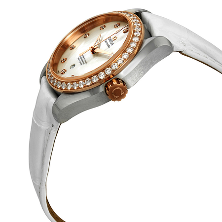 Omega Seamaster Aqua Terra Diamond Ladies Watch 231.28.34.20.55.003