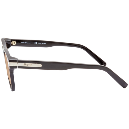 Salvatore Ferragamo Brown Rectangular Unisex Sunglasses SF916S 001 55