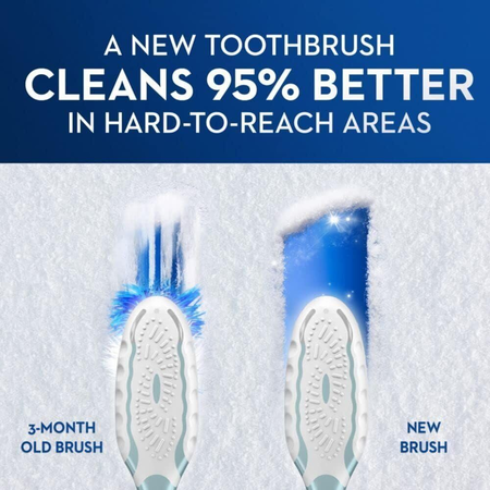 Bàn chải OralB Indicator Color Collection Signals Brush Replacement Time 2 Toothbrushes
