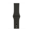 Apple Watch Edition Series 3 38mm Smartwatch - Gray