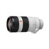 Sony FE 100-400mm F4.5–5.6 GM OSS with Sony FE 1.4x Teleconverter