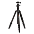 Chân máy ảnh MeFOTO Classic Carbon Fiber Roadtrip Travel Tripod/Monopod Kit - Black (C1350Q1K)