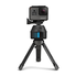 Máy quay GoPole GPSL-16 Scenelapse  360-Degree Time-Lapse Device for Hero GoPro Cameras (Black)