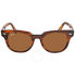 Ray Ban Meteor Classic Brown Classic B-15 Square Sunglasses RB2168 954/33 RB2168 954/33 50