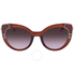 Ferragamo Brown Gradient Cat Eye Ladies Sunglasses SF890S 210 52