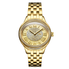 JBW Women's Plaza Oval Diamond 18K Gold-Plated Watch & Band Set J6366B J6366-SetB