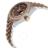 Rolex Lady Datejust Chocolate Dial Automatic Ladies Steel and 18K Jubilee Watch 279381CHRJ