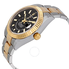 Rolex Sky-Dweller Automatic Men's 18kt Yellow Gold Oyster Watch 326933BKSO