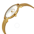 Skagen Anite Silver Dial Gold-tone Mesh Ladies Watch SKW2150