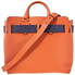 Burberry Medium Leather Belt Bag- Clementine 4073286