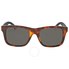Gucci Havana Square Plastic Sunglasses GG0008S-006 53
