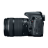 Canon EOS REBEL T7i EF-S 18-135 IS STM Kit