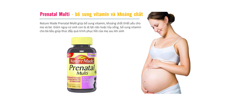 Vitamin Tổng Hợp Cho Bà Bầu Nature Made Multi Prenatal