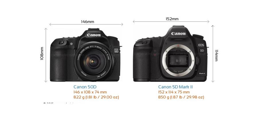 So sánh chất lượng giữa máy ảnh Canon 5D và 50D