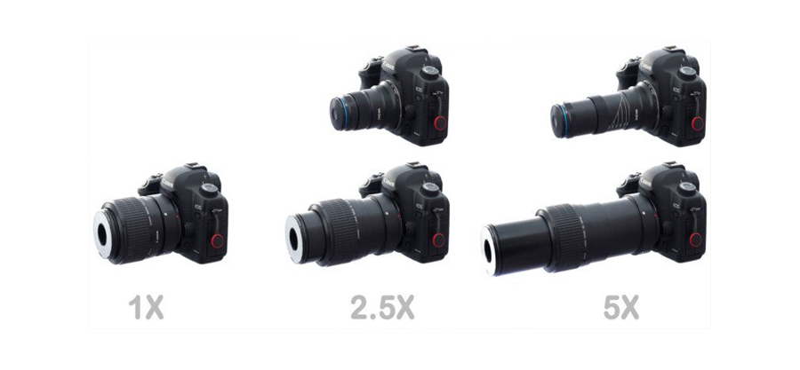 Ra mắt ống kính Laowa 25mm f2.8 Macro với khả năng phóng đại 5x